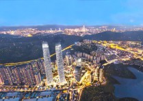 2023现楼交付-深圳星河双子塔深圳新地标昭示性强是企业形象蕞佳展示。