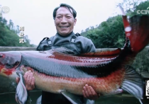 新闻调查丨从“一黑一白”到绿色转型看四川宜宾如何破局